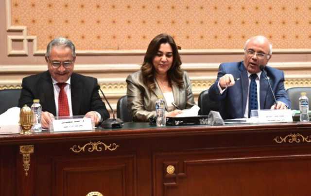 وزيرة التنمية: «الإسكان» هي المسئولة عن تعويض المتضررين من مشروع قانون الإيجار القديم