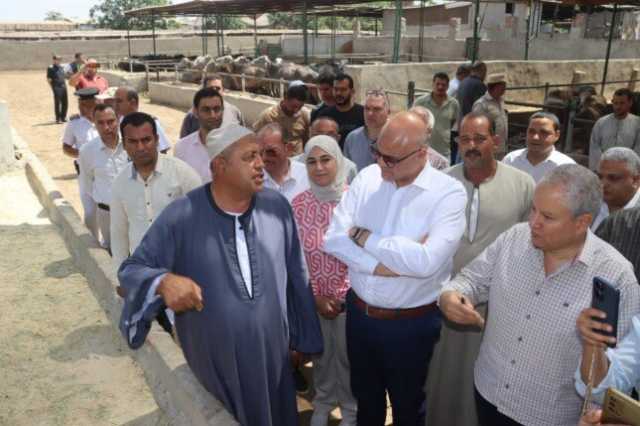 محافظ القليوبية يتفقد مزرعة متخصصة فى تربية الثروة الحيوانية بقرية العمار بطوخ