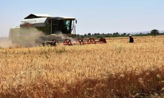 توريد 158 ألف طن قمح في صوامع أسوان