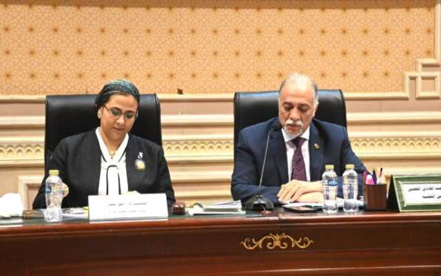 «تضامن النواب» توافق على موازنة المجلس القومي لذوي الإعاقة