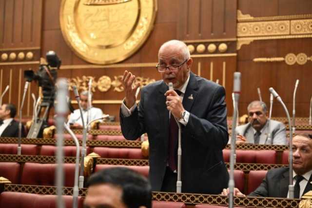 اقتراح برلماني بإنشاء منطقة حرة للصناعات الصغيرة والمغذية للمصريين في الخارج