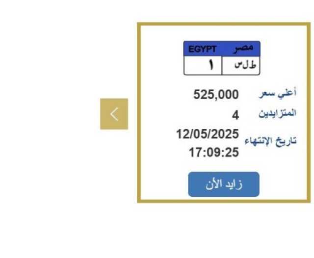 تتخطى نصف مليون جنيه.. «المرور» تطرح التزايد على لوحة سيارة مميزة
