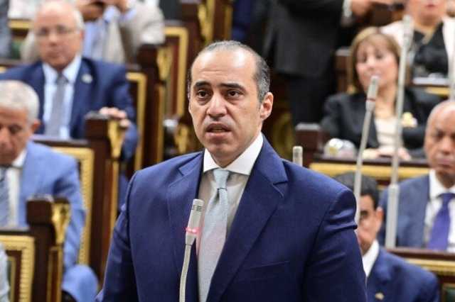 فوزي: نظام القائمة المطلقة يضمن تمثيل الفئات السبعة المميزة بالدستور