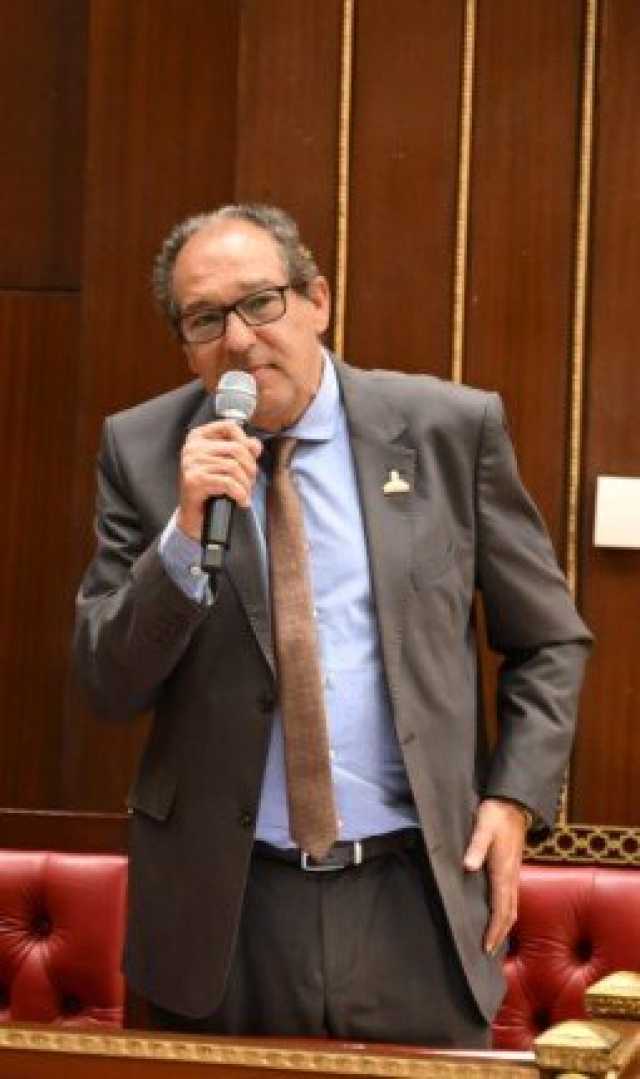 حسام الخولي: خطة الحكومة «واقعية» لكنها تفتقد آلية إشراك القطاع الخاص