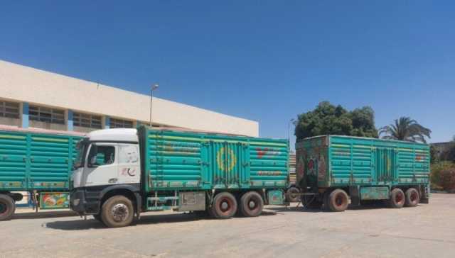 حصاد 188 ألف فدان وتوريد 147 ألف قمح بأسيوط