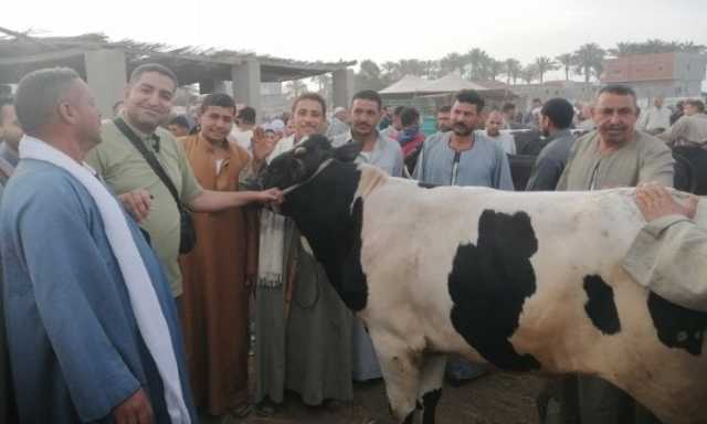 القائم البقري بـ 180 والضأن بـ 190.. إقبال كثيف علي سوق المواشي بالشرقية لشراء الأضاحي