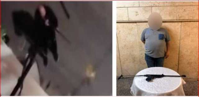 هاجمته فانتقم منها.. ملابسات فيديو إطلاق أعيرة رش تجاه الكلاب بالقاهرة