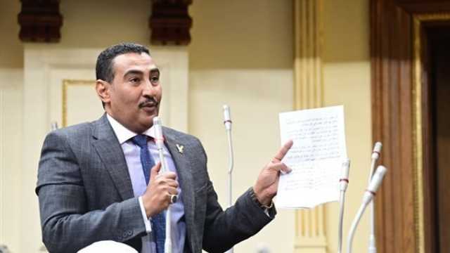 «برلماني»: غش البنزين ظاهرة منذ أكثر من عام
