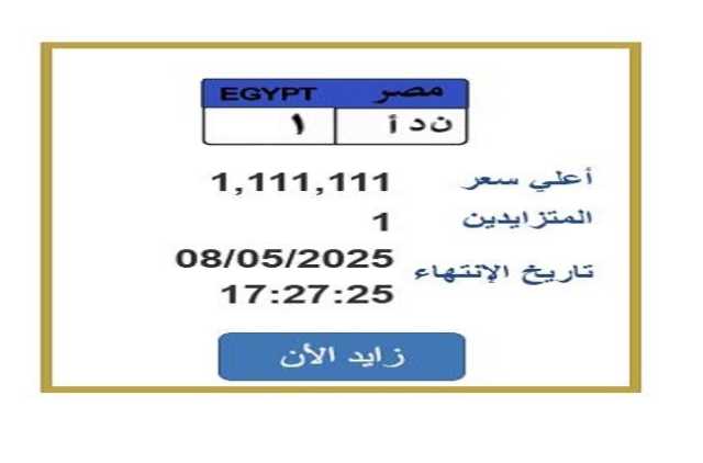 سعرها تخطى مليون جنيه.. خطوات التزايد على لوحة سيارة مميزة