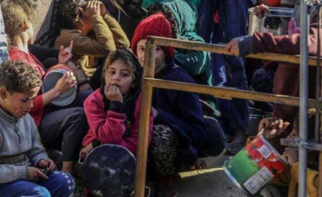 الشوا: ارتفاع سوء التغذية يهدد حياة الأطفال في غزة