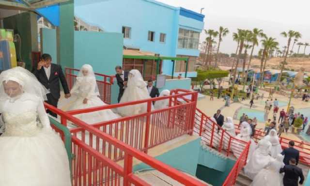 جمعية الأورمان تدعم زواج 16 فتاة يتيمة بأسوان