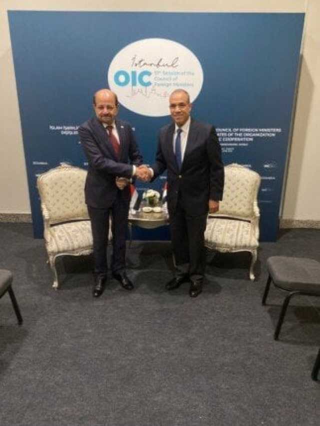 وزير الخارجية يؤكد دعم مصر الراسخ للحكومة اليمنية الشرعية