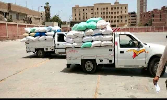 تموين الشرقية: توريد 600 ألف طن من محصول القمح حتى الآن