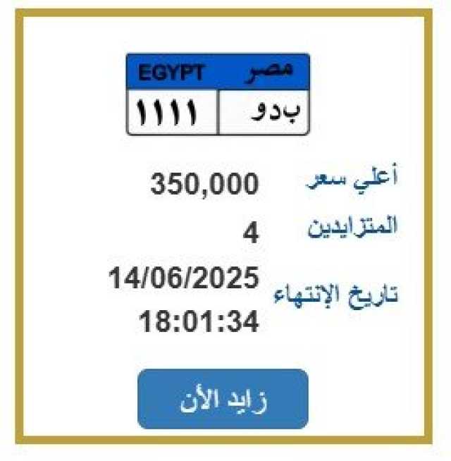 بـ 350 ألف جنيه.. طرح التزايد على لوحة سيارة مميزة