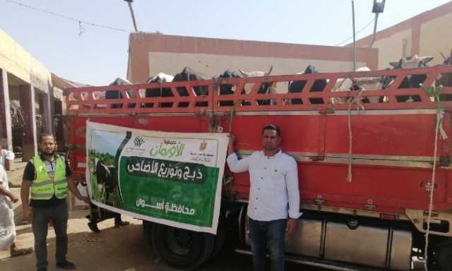 الأورمان تطلق أكبر حملة أضاحي من أسوان: 2000 عجل ومليون كيلو لحوم للفقراء بالمجان