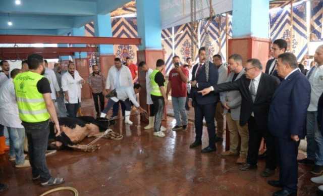 محافظ الدقهلية يشهد ذبح الأضاحي بمجزر طنامل ويؤكد على سلامة اللحوم ووصولها للمستحقين