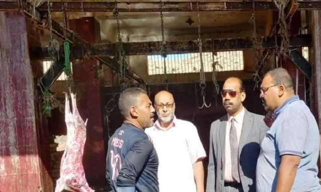 بيطري أسوان: تشكيل لجنة عليا للإشراف على ذبح الأضاحي وضمان التخلص الآمن من المخلفات خلال عيد الأضحى