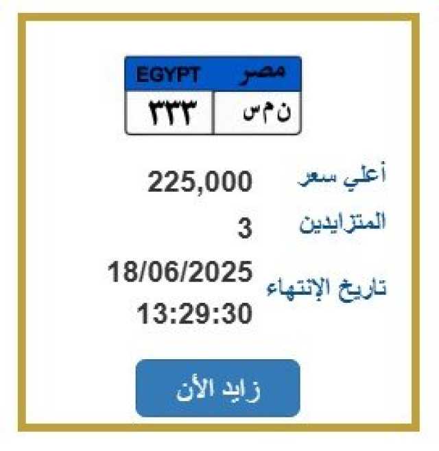 بـ 225 ألف جنيه.. طرح التزايد على لوحة سيارة مميزة