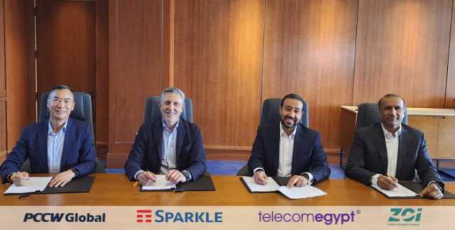 يضم «المصرية للاتصالات - ZOI - PCCW - Sparkle».. تحالف دولي لبناء نظام الكابل البحري AAE-2