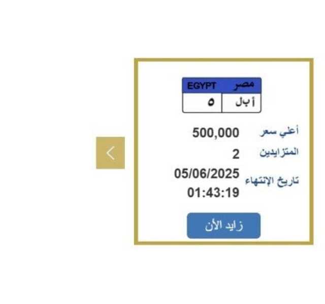 سعرها نصف مليون جنيه.. التزايد يشتعل على لوحة سيارة مميزة