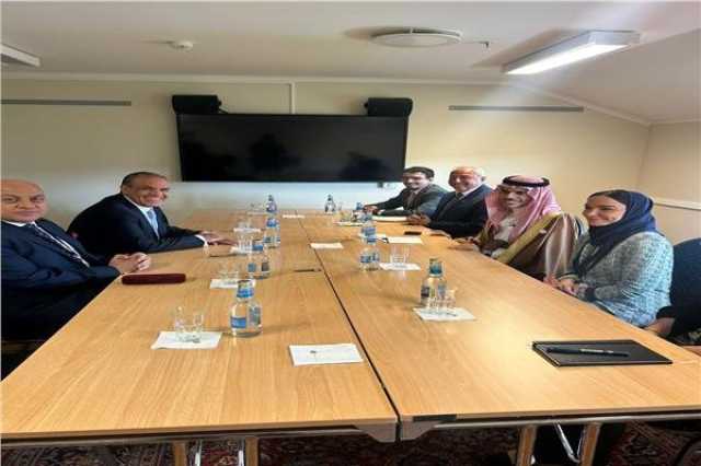 وزير الخارجية يلتقي نظيره السعودي على هامش فعاليات منتدى أوسلو