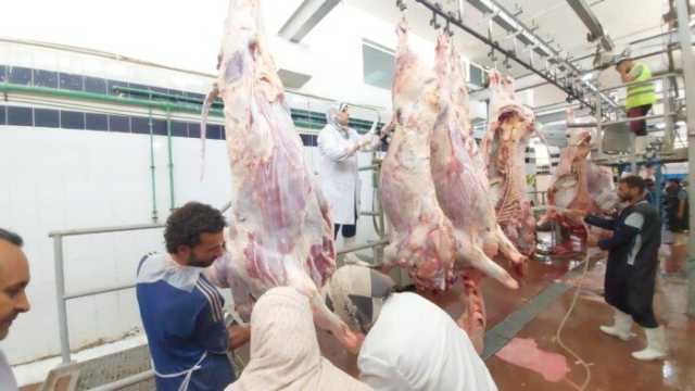 انتظام العمل بمجازر البحر الأحمر فى ثانى أيام عيد الأضحى المبارك