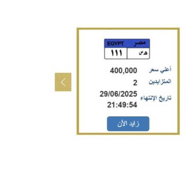 سعرها وصل 400 ألف جنيه.. التزايد على لوحة سيارة مميزة ينتهي خلال ساعات