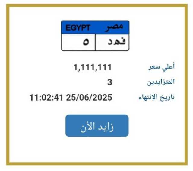 تخطت الـ مليون جنيه.. مزايدة نارية على لوحة سيارة مميزة