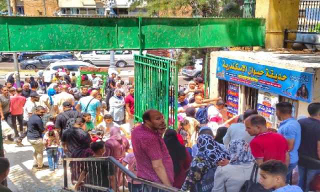 وسط أجواء من البهجة والمرح.. إقبال كثيف على حديقة حيوان الإسكندرية