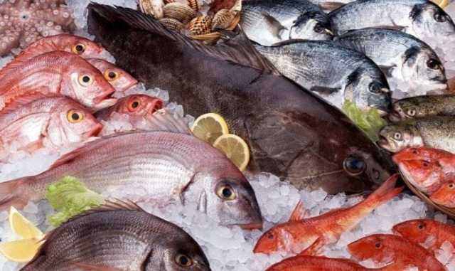 أسعار الأسماك اليوم الخميس 12 يونيو 2025