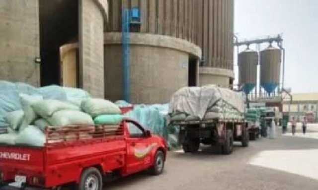 تموين أسوان: توريد 551 ألف طن قمح بنسبة 112.7% منذ بدء الموسم