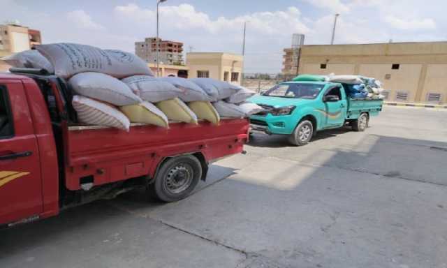 حصاد الخير.. شون وصوامع البحيرة تستقبل 311 ألف طن قمح من المزارعين