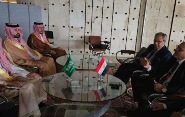 وزير العمل ونظيره السعودي يؤكدان تفعيل سبل التعاون في مجالات التدريب المهني والتشغيل