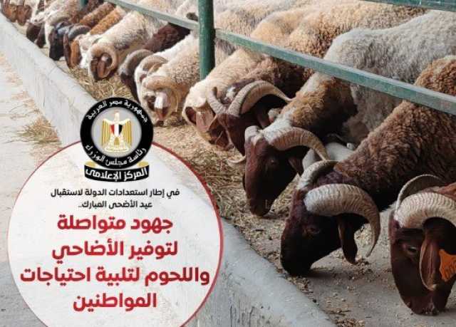 مجلس الوزراء: توفير الأضاحي واللحوم بأسعار مناسبة لتلبية احتياجات المواطنين «إنفوجراف»