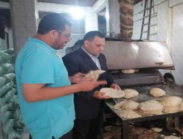 «تموين الإسكندرية» تحرير 14 محضرا ضد المخالفين في ثاني أيام عيد الأضحى المبارك