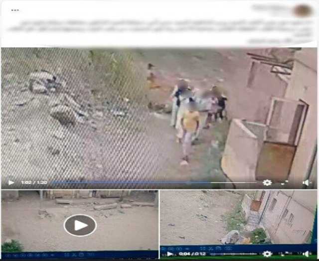خلافات الجيرة.. ملابسات فيديو ضرب وسحل طفلة في دمياط