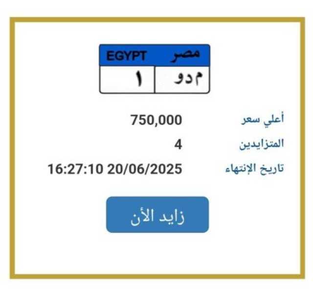 اقتربت من مليون جنيه.. مزايدة نارية على لوحة سيارة مميزة