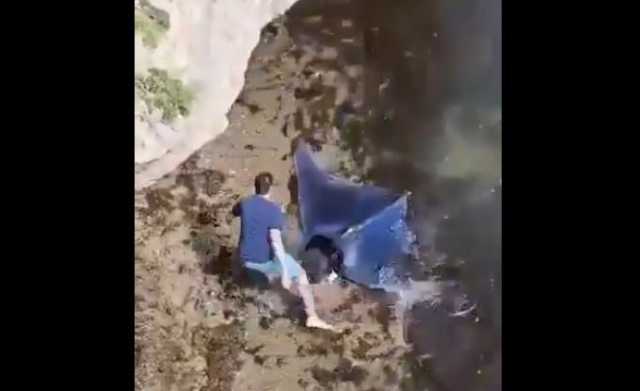 هل شاهدت سمكة الشيطان النادرة من قبل؟.. فيديو قد يبهرك