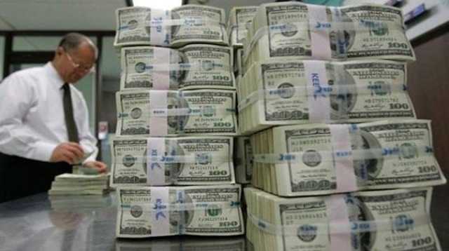 «المركزي»: انخفاض فائض صافي الأصول الأجنبية بالبنوك إلى 13.52 مليار دولار