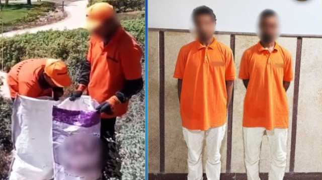 كشف ملابسات قيام شخصين بوضع كلاب داخل أجولة في مطروح «فيديو»