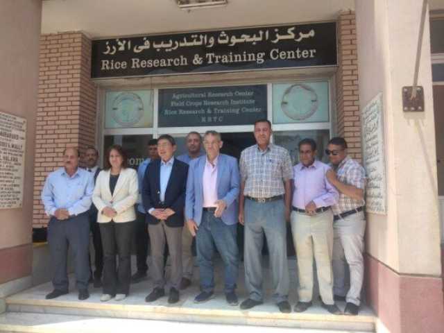 للاطلاع على تجارب زراعة الأرز.. «البحوث الزراعية» بكفر الشيخ تستقبل سفير سنغافورة
