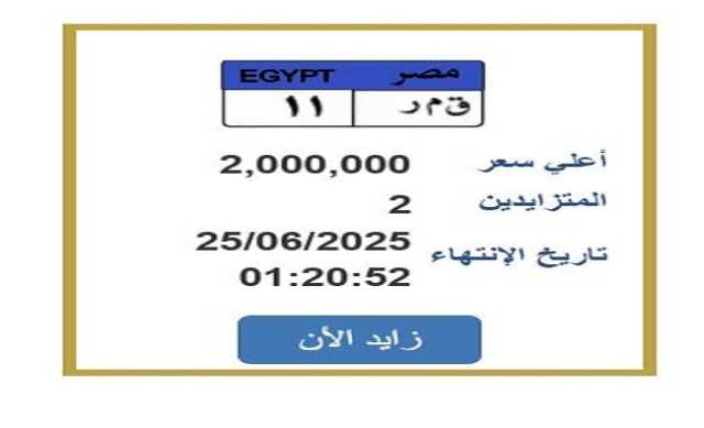 سعرها وصل 2 مليون جنيه.. التزايد يشتعل على لوحة سيارة مميزة| اعرف الخطوات