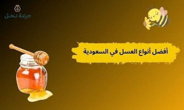 أفضل أنواع العسل في السعودية.. كيف تختار النوع المناسب لك؟