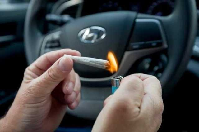 التضامن تطلق حملة لرفع وعي السائقين بخطورة المخدرات