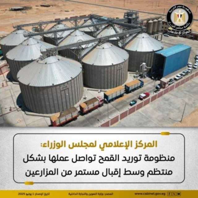 مجلس الوزراء: عمليات توريد القمح المحلي مستمرة بشكل طبيعي