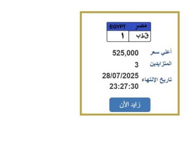 سعرها تخطى نصف مليون جنيه.. المزايدة على لوحة سيارة مميزة
