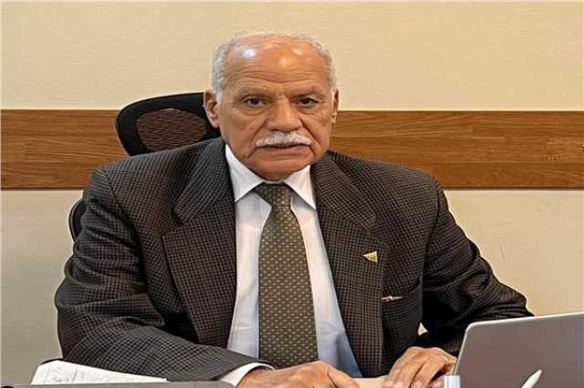 الحزب العربي الناصري: نرفض الدعوات الهدامة.. ومصر صامدة بوعي شعبها وجيشها وشرطتها