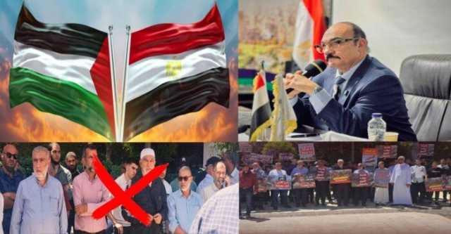 أستاذ علوم سياسية: تظاهرات «الإخوان الإرهابية» أمام سفارة مصر في تل أبيب خيانة صريحة واصطفافا مفضوحا مع العدو