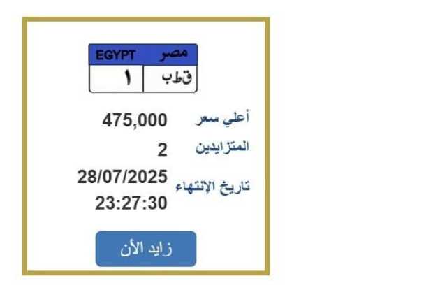 سعرها اقترب من نصف مليون جنيه.. مزايدة نارية على لوحة سيارة مميزة