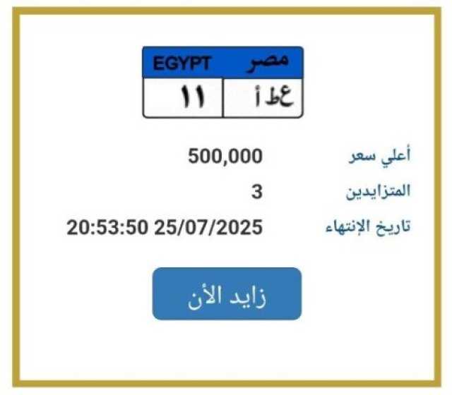 وصلت لـ نصف مليون جنيه.. مزايدة نارية على لوحة سيارة مميزة رقمها «ع ط أ 11»